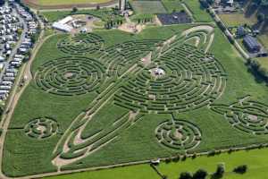 Labyrinthe de Barvaux-sur-Ourthe (Durbuy)