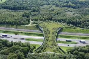 Pont à gibier sur l'E40