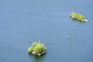 De Maat - Iles flottantes pour les oiseaux