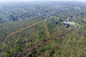 Lisière de la foret de Soigne, à Uccle