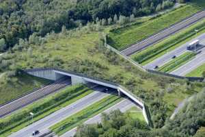 Pont à gibier sur l'E40