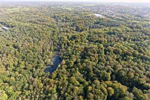 Bois de Lauzelle, Louvain-la-Neuve