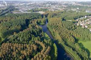 Méandre de la Senne à Drogenbos