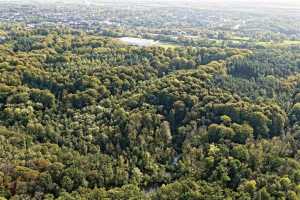 Bois de Lauzelle, Louvain-la-Neuve