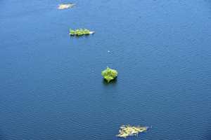 De Maat - Iles flottantes pour les oiseaux