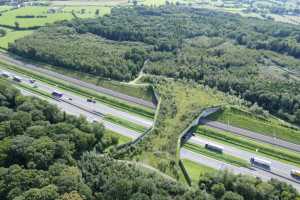 Pont à gibier sur l'E40