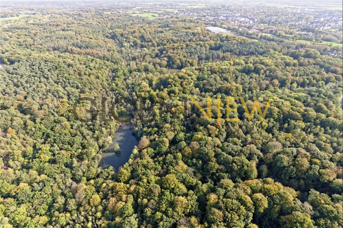 Bois de Lauzelle, Louvain-la-Neuve