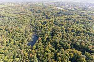 Bois de Lauzelle, Louvain-la-Neuve