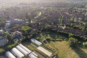 DJI_20260703073604_0259_D_DxO