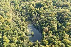 Bois de Lauzelle, Louvain-la-Neuve