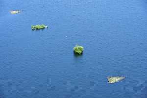 De Maat - Iles flottantes pour les oiseaux