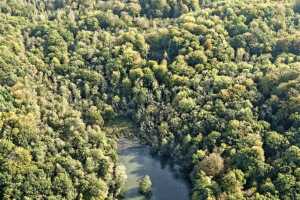 Bois de Lauzelle, Louvain-la-Neuve