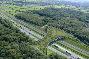 Pont à gibier sur l'E40