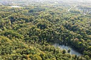 Bois de Lauzelle, Louvain-la-Neuve