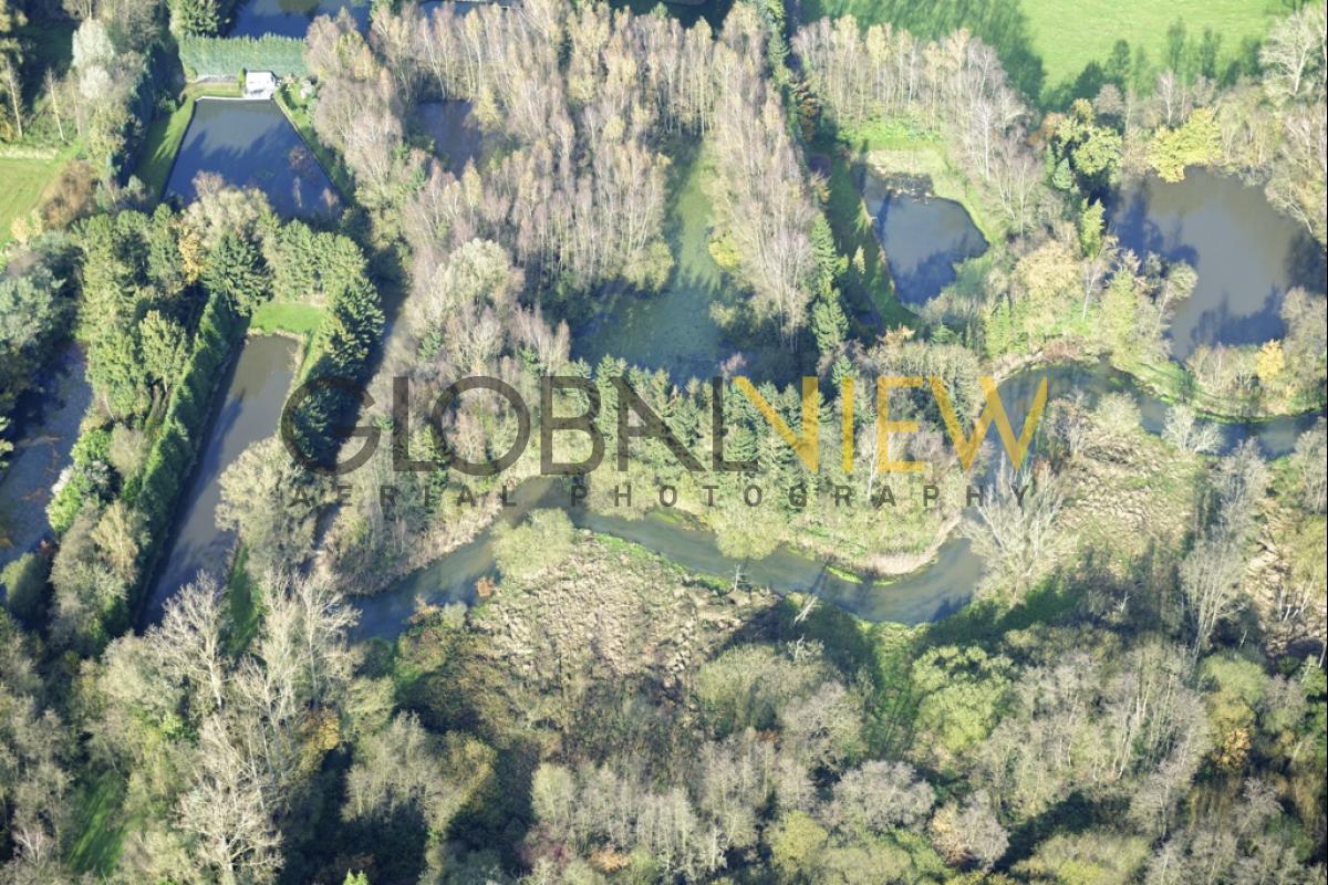 Méandres dans les environs de Mol