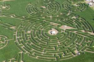 Labyrinthe de Barvaux-sur-Ourthe (Durbuy)