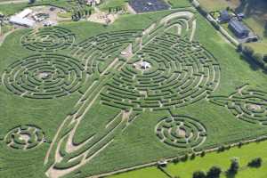 Labyrinthe de Barvaux-sur-Ourthe (Durbuy)