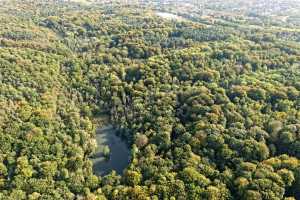 Bois de Lauzelle, Louvain-la-Neuve