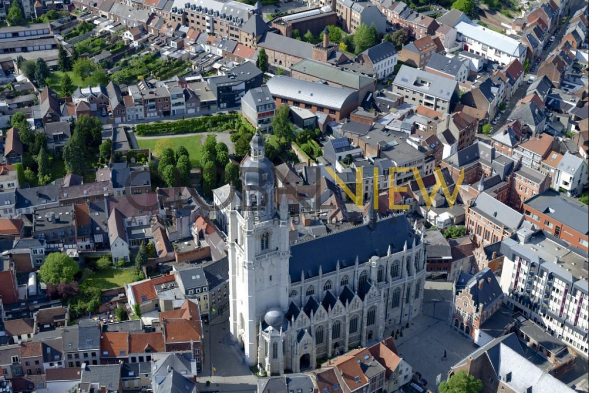 Sint-Martinus Basiliek Halle