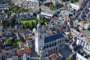 Sint-Martinus Basiliek Halle