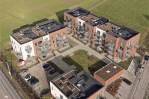 DJI_20260204130207_0363_D_DxO