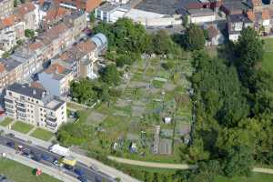 Potagers urbains à Forest