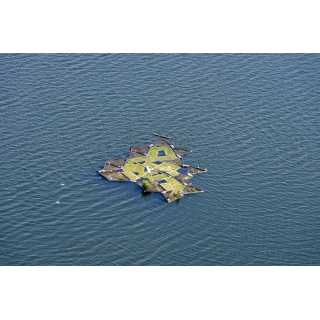 Environnement/Ecologie