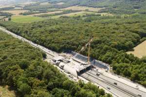 Passage à Faune, Zoufftgem - Luxembourg (Juillet 2023)