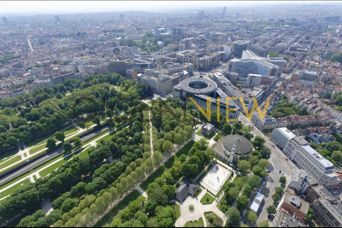 Parc du Cinquantenaire, Grande Mosquée de Bruxelles