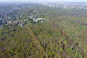 Lisière de la foret de Soigne, à Uccle