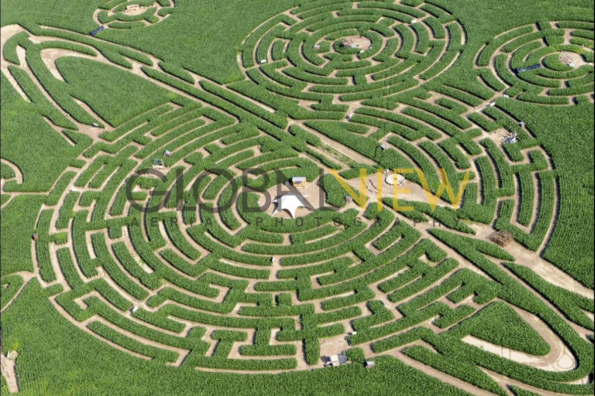 Labyrinthe de Barvaux-sur-Ourthe (Durbuy)