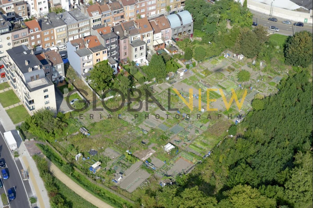 Potagers urbains à Forest
