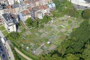 Potagers urbains à Forest