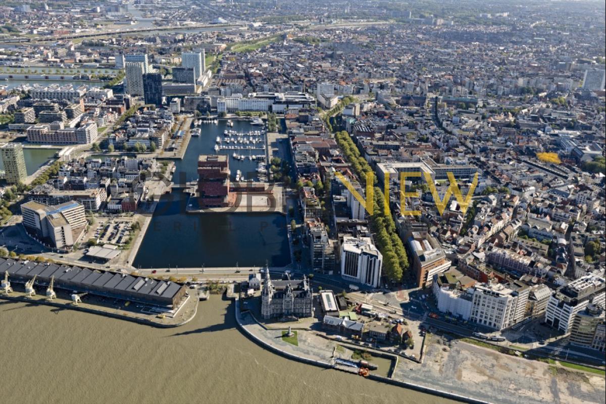 Bonapartedok, Antwerp