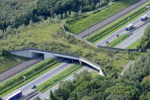 Pont à gibier sur l'E40