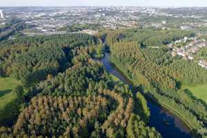 Méandre de la Senne à Drogenbos