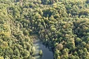 Bois de Lauzelle, Louvain-la-Neuve