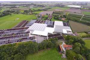 J. Bevers en Zn. bv (NL)