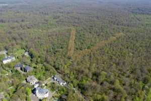 Lisière de la foret de Soigne, à Uccle