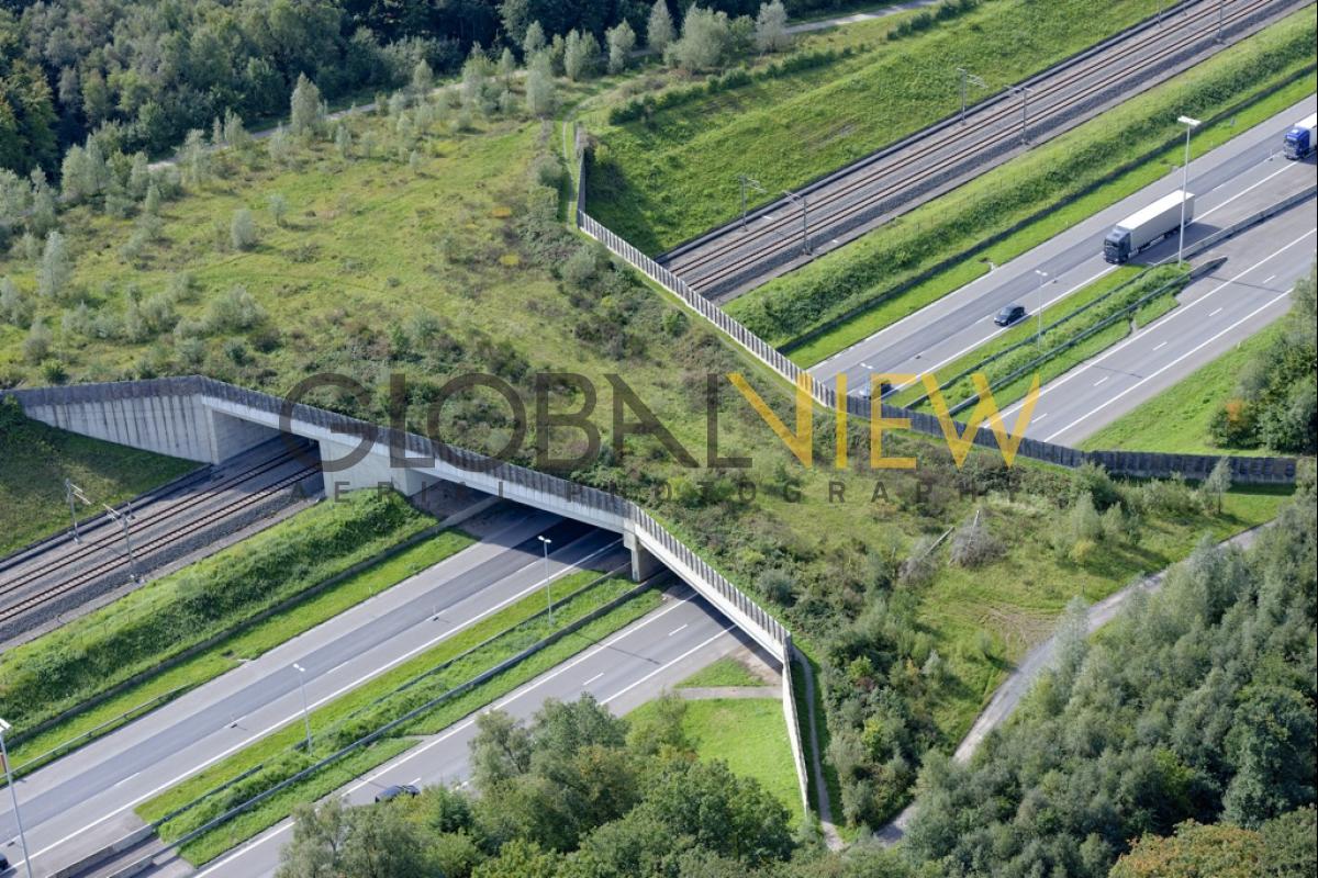 Pont à gibier sur l'E40