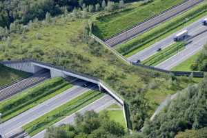 Pont à gibier sur l'E40