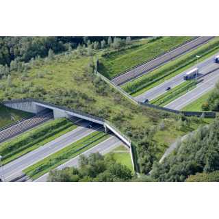 Pont à gibier