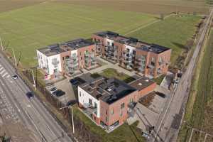 DJI_20260204130207_0363_D_DxO