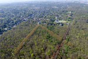 Lisière de la foret de Soigne, à Uccle