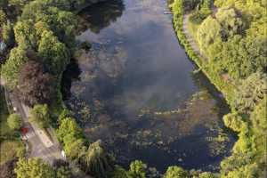 DJI_20260703075133_0340_D_DxO