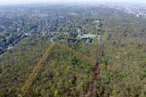 Lisière de la foret de Soigne, à Uccle