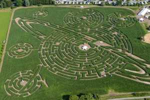 Labyrinthe de Barvaux-sur-Ourthe (Durbuy)